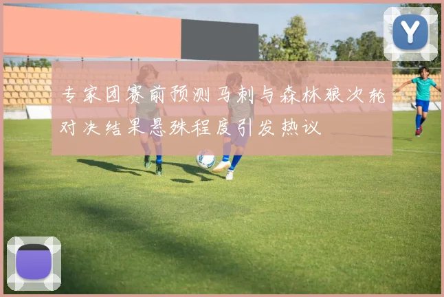专家团赛前预测马刺与森林狼次轮对决结果悬殊程度引发热议